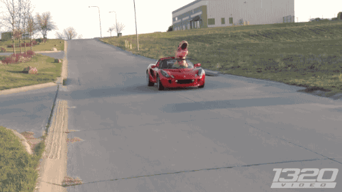 gifsboom:T-Rex Dinosaur STREET RACE. [video]@gallaooc
