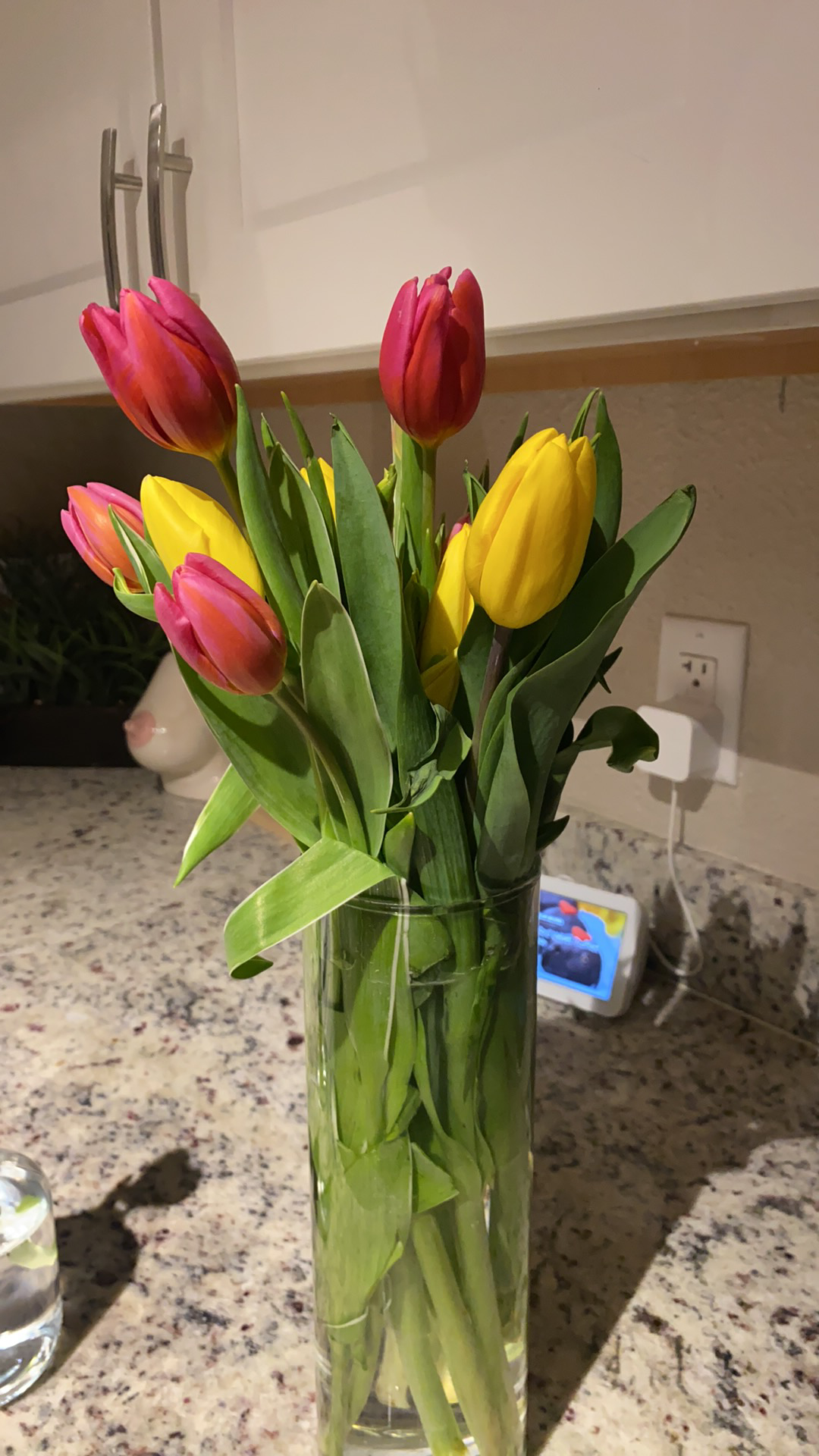 Porn fam gave me flowers 🤍 photos