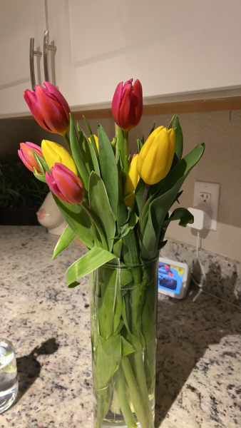 Porn Pics fam gave me flowers 🤍