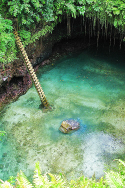 heaven-ly-mind:  To Sua Ocean Trench