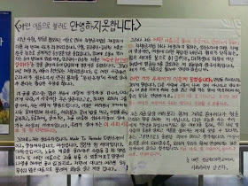 ain1990:  I AM NOT OKAY Shawols, Blingers, and k-Pop Fans, let us look at the bigger picture on what is happening right now in South Korea. Supporting their movement requires a big guts especially when you are an idol, you may lose fans, society may hate