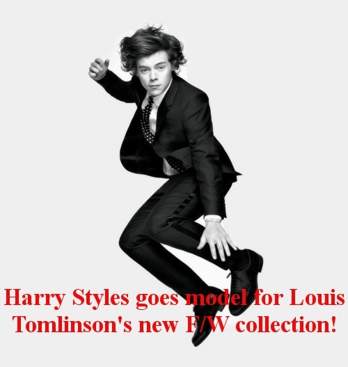 Louis Tomlinson!fashion Designer AUx Harry Styles!Indie Singer AU
