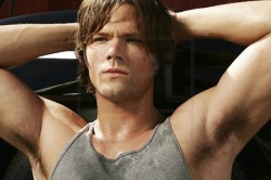 celebpits:  Jared Padalecki