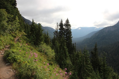 burningmine:Sheep Lake to Sourdough Gap Trail, August 2018