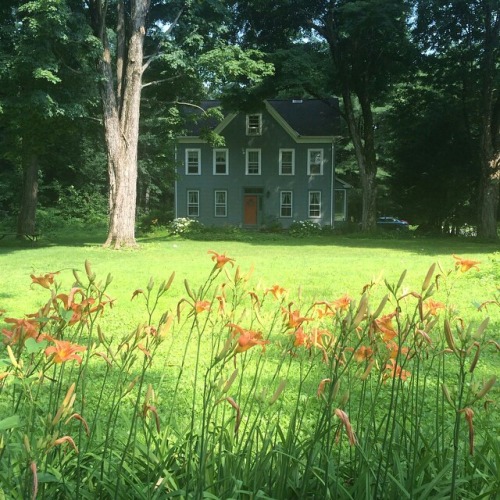 When the day Lily&rsquo;s decide to bloom, #amagicalmoment (via #nestrealtyco@ig)