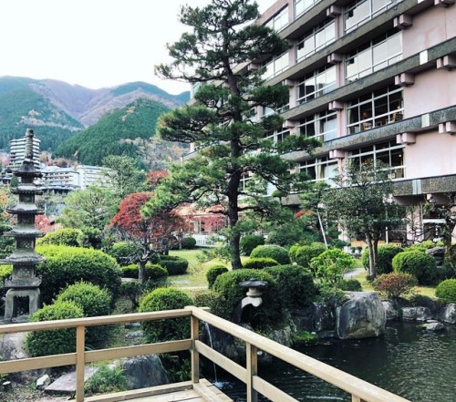 ＼おにわさん更新情報／ ‪[ 岐阜県下呂市 ] 下呂温泉 望川館庭園 Gero-Onsen Bosenkan&rsquo;s Garden, Gero, Gifu の写真・記事を更新しました。