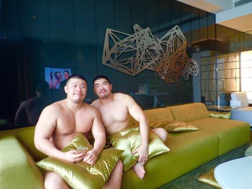 woofkumabear:  Cute woofkumabear         woofkumabear  : LOVE BEARS