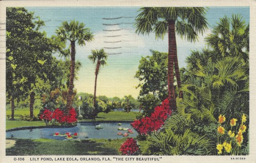 Postcards: &ldquo;Lily Ponds, Lake Eola, Orlando, Fla. &lsquo;The City Beautiful.&rsquo;