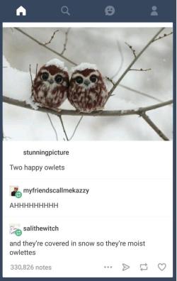 awesomacious:Owlettes Ha.