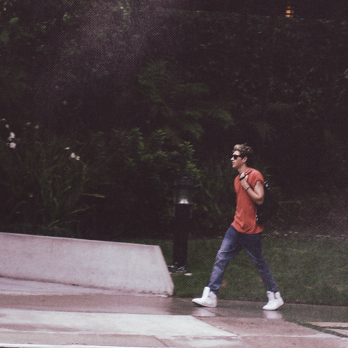 Harrys Buttocks