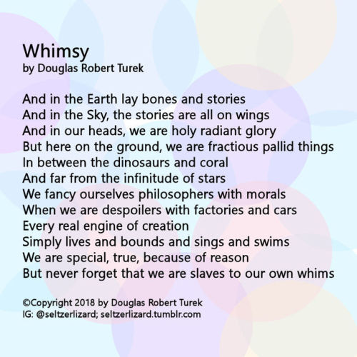 Whimsy by Douglas Robert Turek