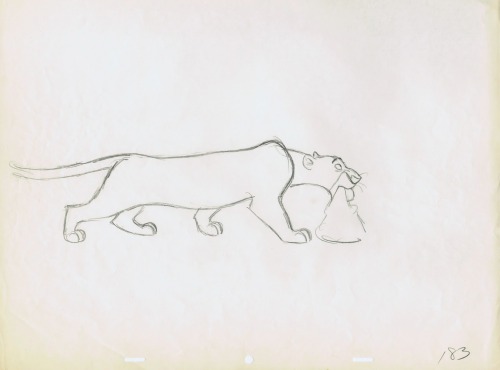 animationtidbits:  The Jungle Book - Character Design 