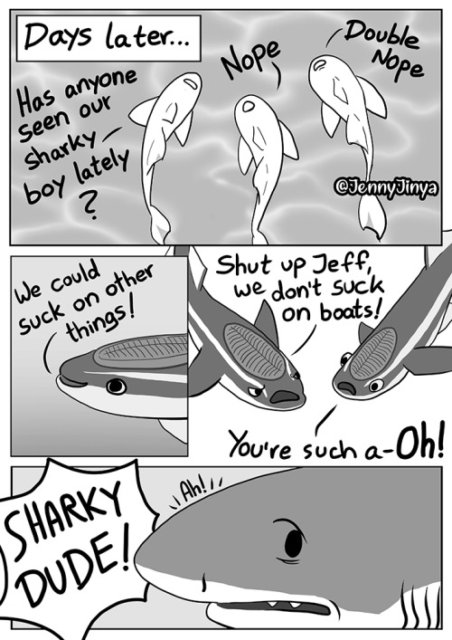 coffee-latte-sprite:I am really happy that other people are getting the word out on sharks. Everyone