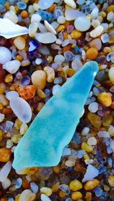 shelovesplants:  I’m a big sea glass collector..