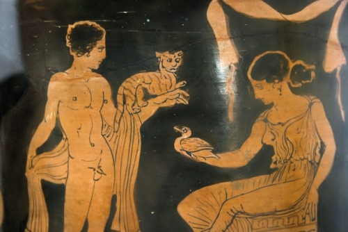 A girl holding a duck speaks to a boy holding a cat.  Detail from side A of a Campanian red-figure k