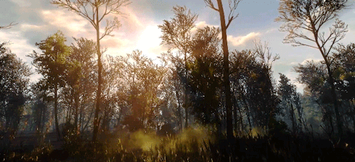 slothssassin:The Witcher 3: Scenery - White Orchard