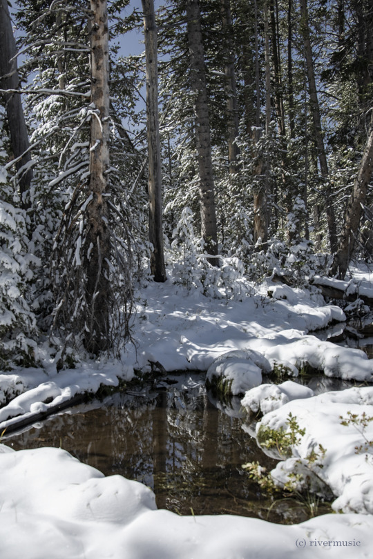 Reflecting Pool with Snowfall: (c) riverwindphotography, September 2020