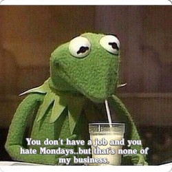 letsgetgrizzd:  #noneofmybusiness #butthatsnoneofmybusiness #kermit #CaseOfTheMondays