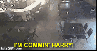 crowley-for-king:  pocketpadfoot:  James Potter accidentally shifting into Animagus