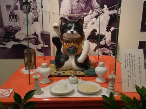 nekonukoneko: Fujio Akatsuka (1935-2008) and his beloved cat Kikuchiyo (1979-1997) The artist who cr
