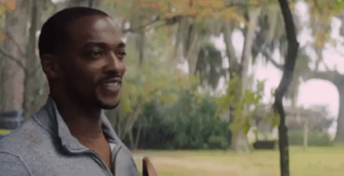 Sam Wilson's Smile 🥰