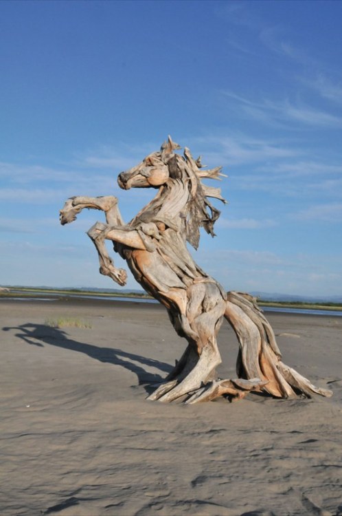 Porn serpentines-fires: Incredible, Driftwood photos