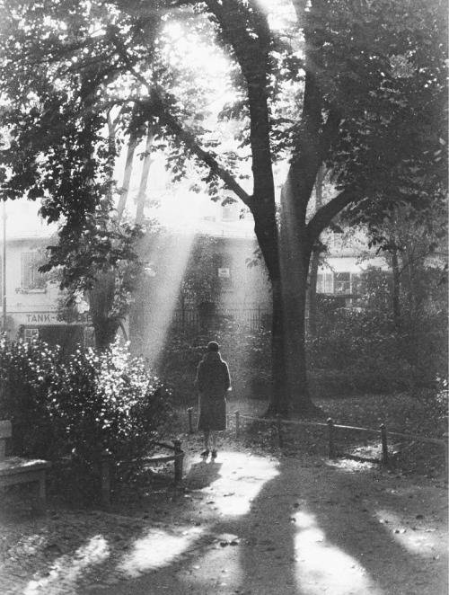 ““In the right light, at the right time, everything is extraordinary.” ― aaron rose
”
herbstlicher park mit frau, about 1928
© dr. paul wolff/ imagno