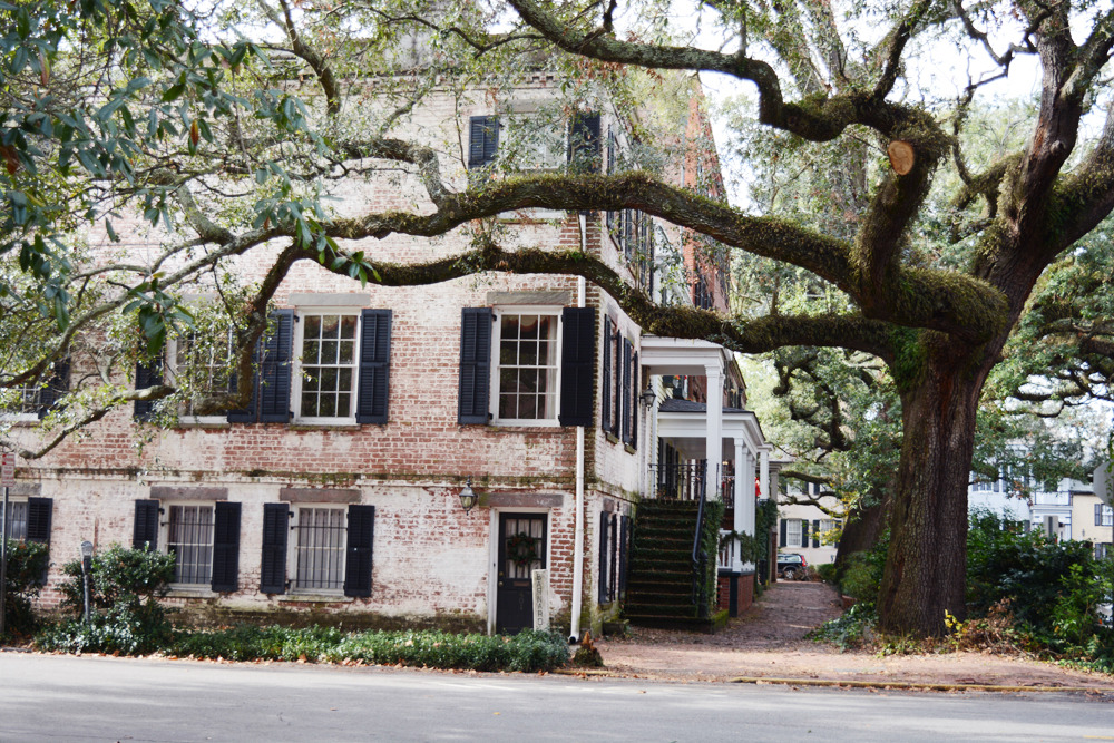 glorianas:  savannah, georgia, december 14th, 2016