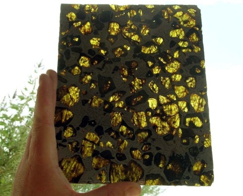 kittyconfessional:  sci-universe:  The Fukang meteorite, believed to be some 4.5 billion years old, was found near a town of the same name in China, in 2000. It is a pallasite, a type of meteorite with golden crystals of a mineral called olivine embedded