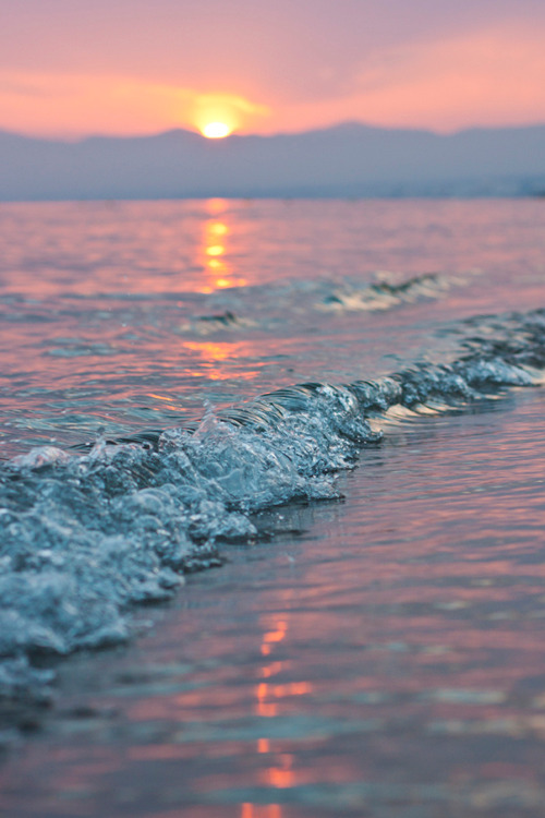 plasmatics-life:Sunset ~ By Carolina Lobo