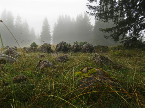 Some more trolls waiting for the darkness by Anikó Erlinger Battyányi