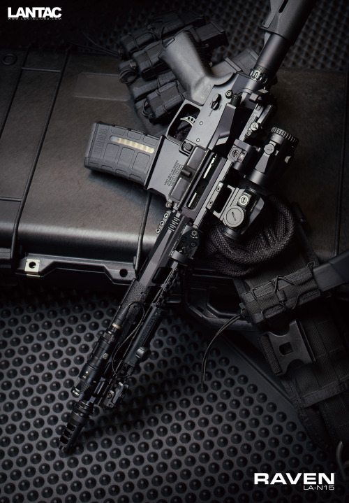 Lantac LA-N15 Raven Rifle. Vortex Optics Sparc Solar & Micro 3X MagnifierVortex Optics Venom Red