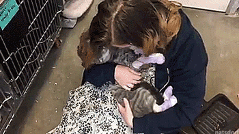 thenatsdorf:Cat lost during recent fires in Sonoma County is reunited with her human. [source]