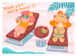 citruslucy:  i’m so excited for new horizons! let isabelle have a holiday too 🌴🌊