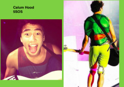 Calum Hood - 5SOS Niall Horan - One Direction