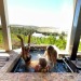 southafricakinkycouple:🍑inge3 girls in the hot tub&hellip;.Before the bikinis