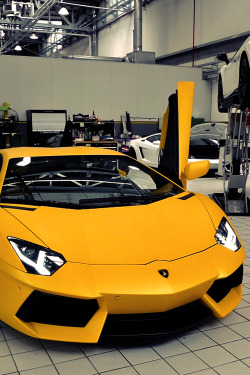 fuckyeahthebetterlife:  Matte Yellow Aventador