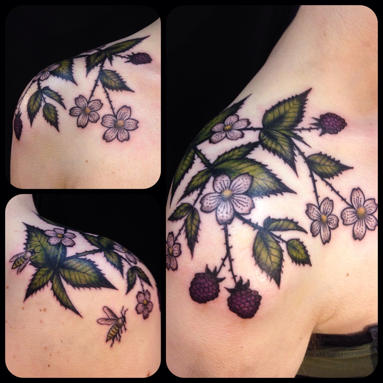 Another little blackberry sprig for Mary   Savannah Trevino