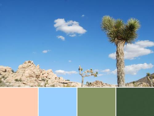 goparks:National Parks as Color Palettes#FindYourPark with a fresh coat of paint. (via HGTV) @kitkat