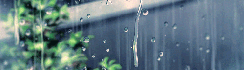 throughmythirdeye:Makoto Shinkai animated rain