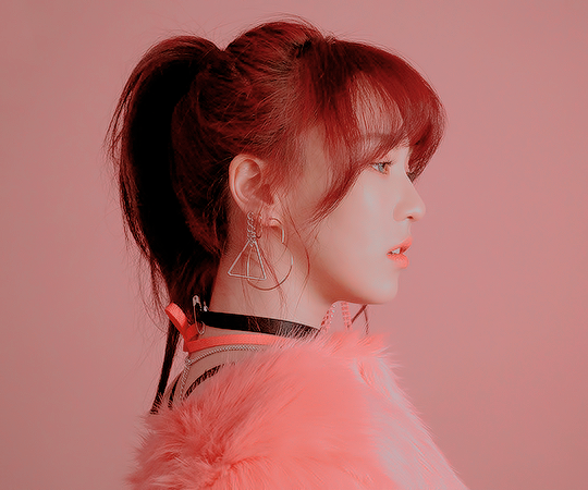 neweraidols:the perfect red velvet pink teasers