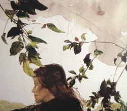 esterarmanino:  ANDREW WYETH