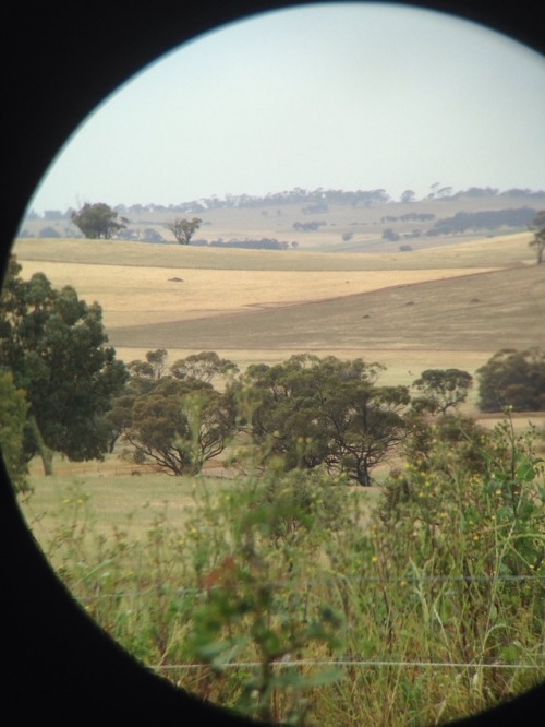 gaysexhaver666:pictures taken with an Iphone 5 through a pair of binoculars