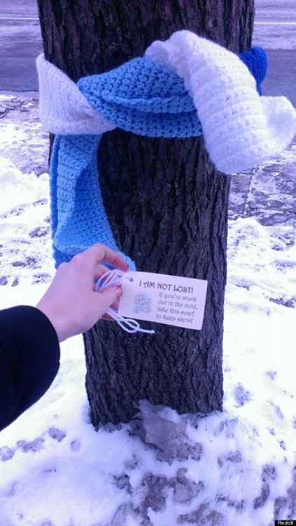 goodstuffhappenedtoday: Free Scarves In Ottawa A Helping Hand In Freezing Temperatures  The so-