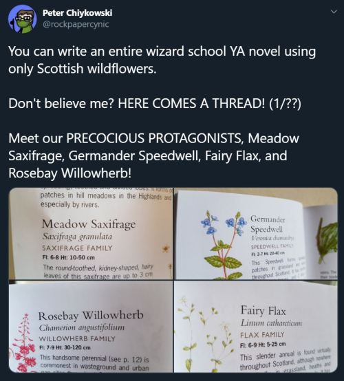 I decided to write a TERF-free Harry Potter knockoff using only the names of Scottish wildflowers an