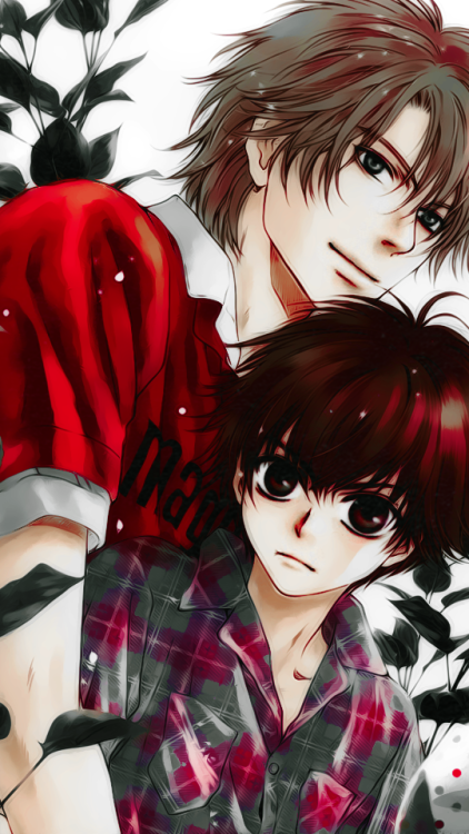 shiiori:  SUPER✰LOVERS ➝ moblie wallpapers  
