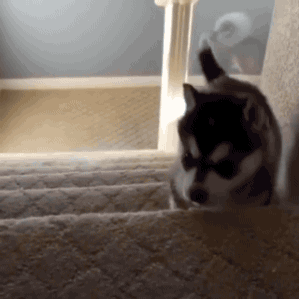  Crit Fail Gif Chain 