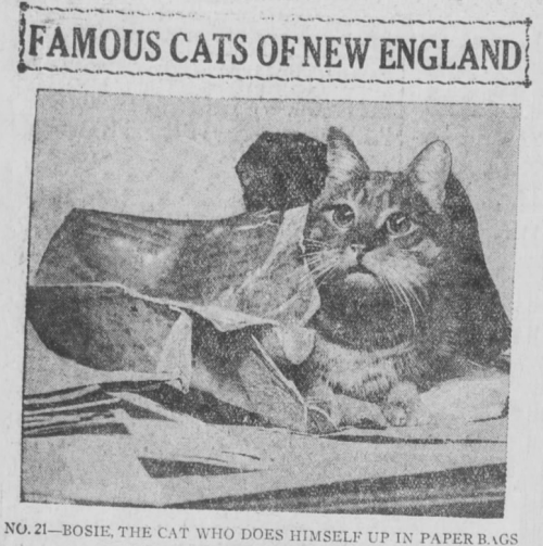 yesterdaysprint: Boston Post, Massachusetts, December 28, 1920 