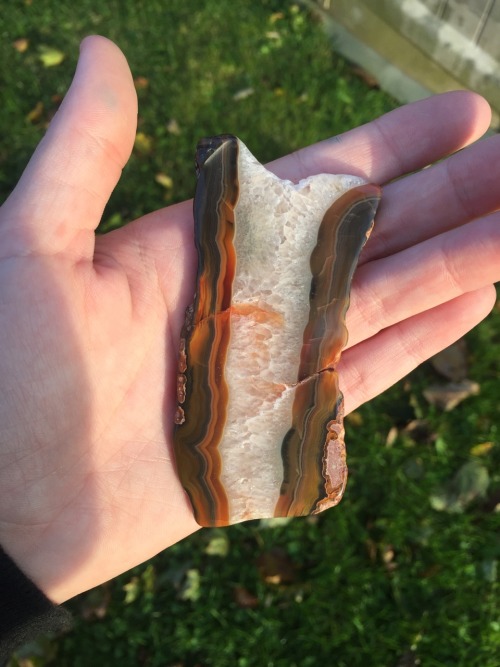 psychedelicsoundwaves:Found an agate that looks like bacon!Mmmm, siliceous