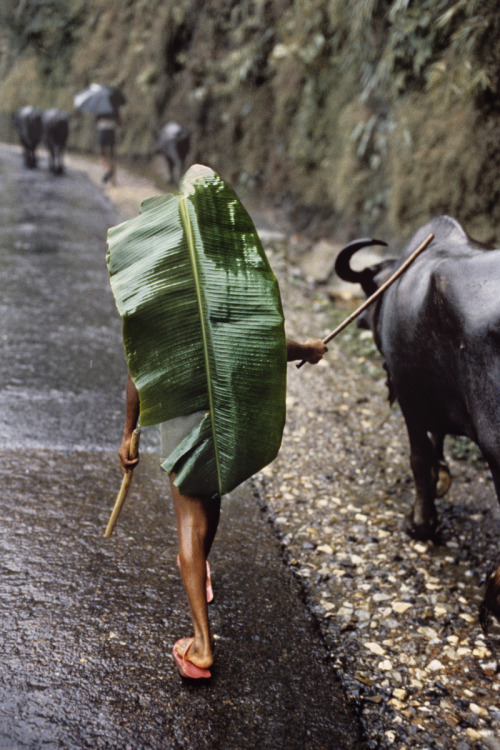 stevemccurrystudios:STEP BY STEP “Walking … is how the body measures itself against the earth.” - 